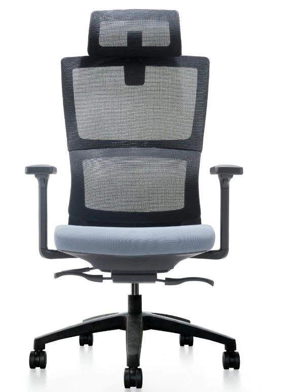 Ergonomic Mesh Office Chair