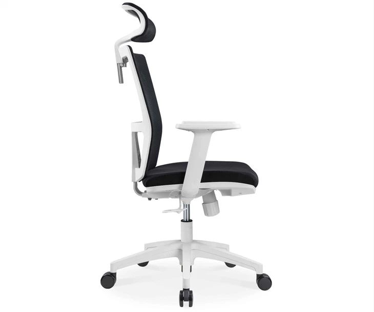 Ergonomic Mesh Task Chair