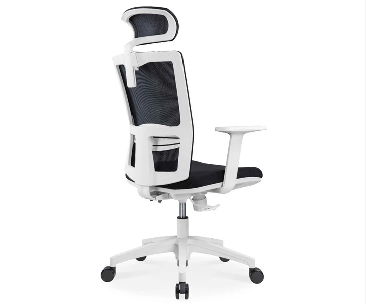 Ergonomic Mesh Task Chair