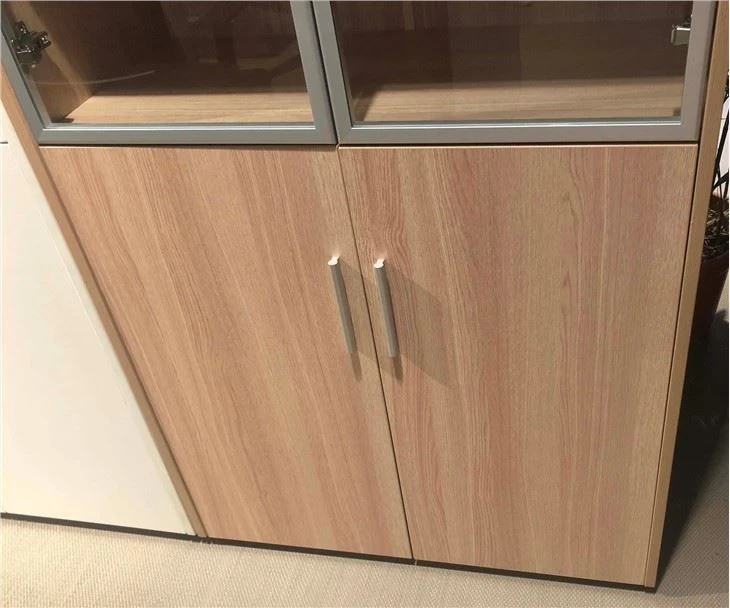 File Cabinet With Doors