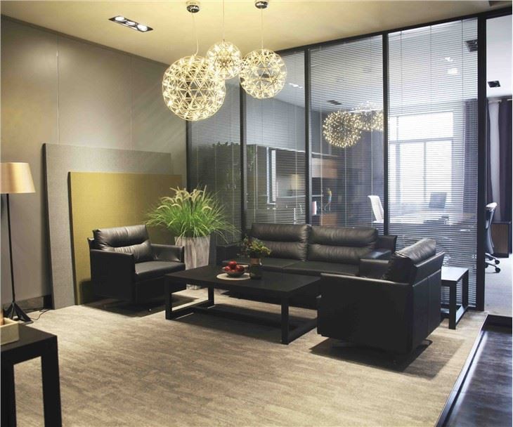Modern Sofa