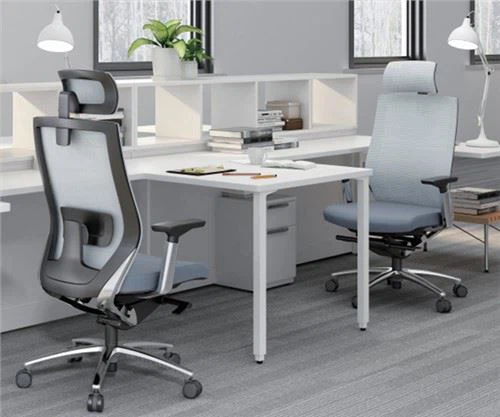 Ergonomic Office Chair With Lumbar Support